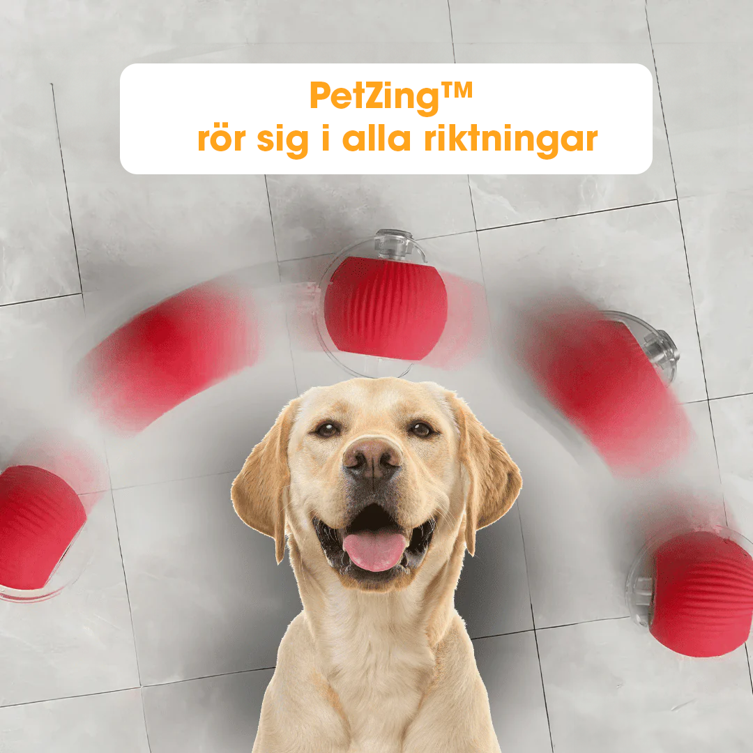 PetZing™ - Smart djurleksak